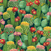 Pattern With Blooming Cactuses