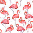 Pink flamingo seamless