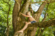 © Westend61 - Little boy climbing on a tree in the forest
