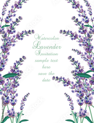 Lavender Card Border Vector. Gentle blossom floral bouquet. Vintage Label wit...