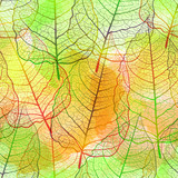 Fototapeta Dmuchawce - Seamless pattern with openwork leaves. Handmade autumn background. Vector EPS10	