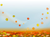 Fototapeta Do przedpokoju - Autumn background with colorful maple leaves
