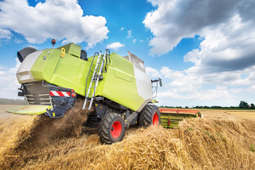 Fototapete - combine harvester working on a wheat field.