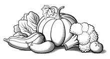Still-life With Vegetables. Pumpkin, Zucchini, Eggplant, Broccoli, Lettuce And Tomato. Stylized Vector Illustration