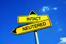 Intact Vs Neutered - Traffic Sign With Two Options - Question Of Castration, Spaying And Sterilization Of Pets. Prevention Against Overpopulation Of Highly Reproductive Animals