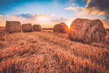 Sunrise Over A Field Of Hay Bales.