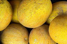 Yellow Melons On Sale