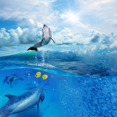Wall Mural - oceanview with sunlight. a flock of playful dolphins swimming underwater and one of them leaping out