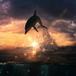beautiful dolphin jumped from the ocean at the sunset time