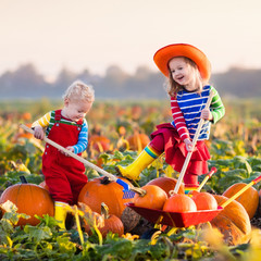 kids picking pumpkins on halloween pumpkin patch