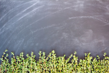 Thyme on a chalkboard background