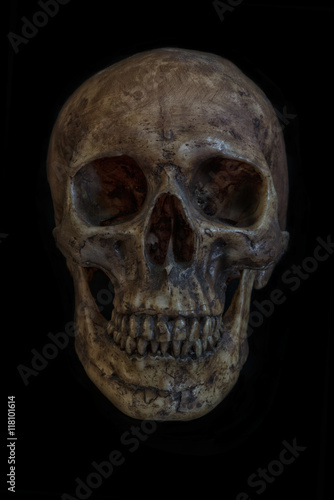 Human skull isolated on black background