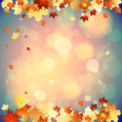 Wall Mural - september background