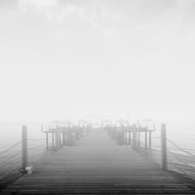 Wooden Pier In Sea Mist