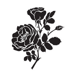 Sticker - Silhouette rose branch with opened flowers and buds