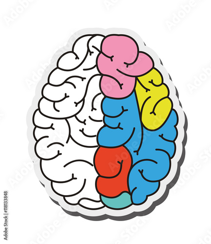 flat design human brain cartoon icon vector illustration Stock Vector