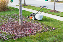 Neatening Up The Lawn In Autumn Or Fall