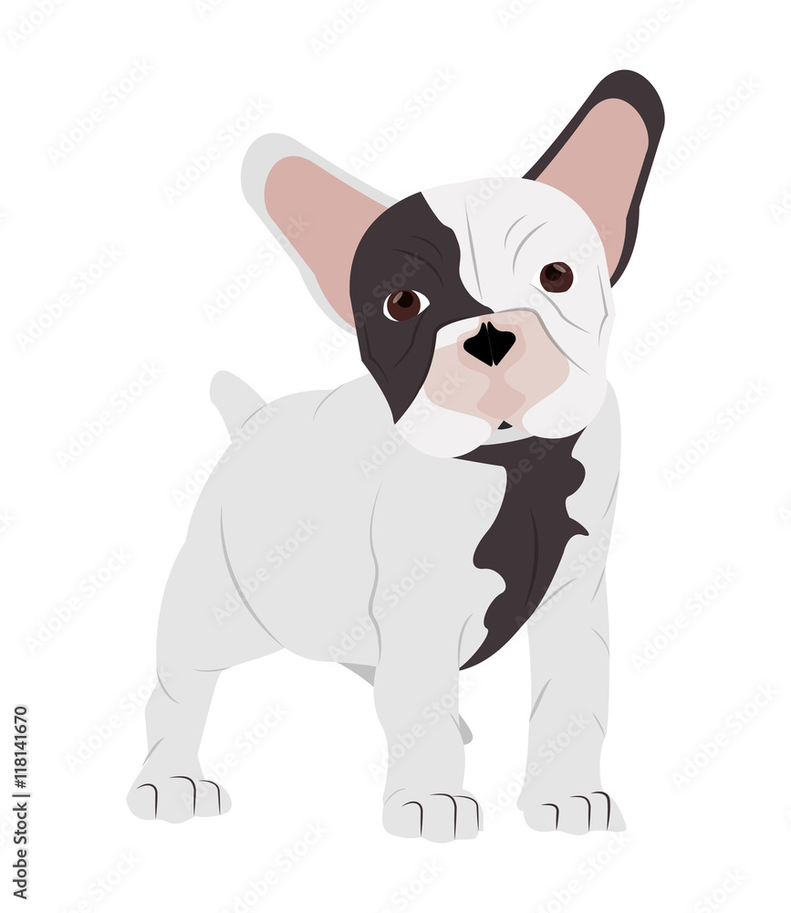 flat design french bulldog icon vector illustration Stock Vector ...