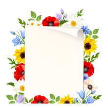 Vector Flyer Background With Colorful Wild Flowers.