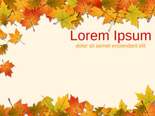 Background With Colorful Autumn Leaves
