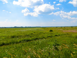 Wide green meadow