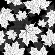 Leaves Seamless Pattern, Vector Background. Black And White Illustration, Monochrome. For The Design Of Wallpaper, Fabric, Decoration Material