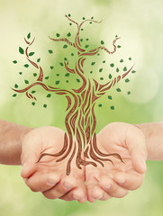 Sticker - Male hands holding illustrated tree on green background. Nature protection concept.