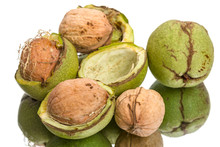 Walnuts And Green Shell