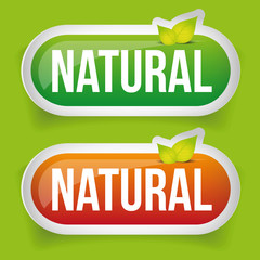 Sticker - Natural Button green with leaf