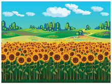 Scenic Landscape With Sunflowers