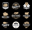 Vector butchery and meat logo, icons and design elements