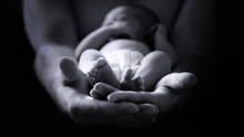 Male Hands Holding A Newborn Baby