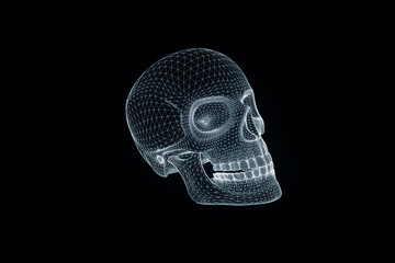 Wall Mural - Human Skull 3D Wireframe Hologram in Motion. Nice 3D Rendering

