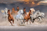 Fototapeta Konie - Horse herd run fast in desert dust against dramatic sunset sky