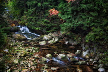 Wall Mural - Mountain River in Autumn Forest