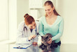 © Syda Productions - happy woman with cat and doctor at vet clinic