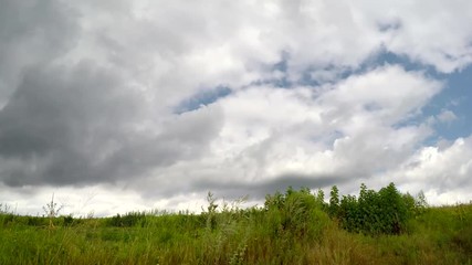 Wall Mural - Thunderstorm in the field. Bad weather in the summer.