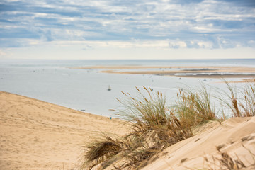 Wall Mural - View of The Arcachon Bay and The Duna of Pyla, France