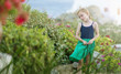© Chris Clor/Blend Images - Caucasian girl walking in field of flowers