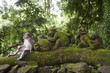 © Smith Photographers/Blend Images - Monkey sitting with mossy statues in jungle