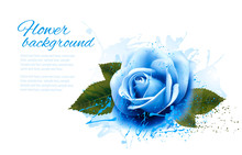 Greeting Card With Blue Rose. Vector