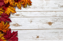 Fall And Autumn Leaves On A Whitewashed Wood Plank Board