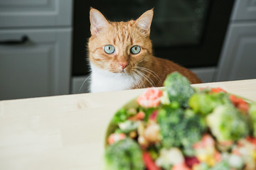 Red cat looking at raw vegetables.