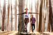 © Adam Hester/Blend Images - Couple exploring sunny forest