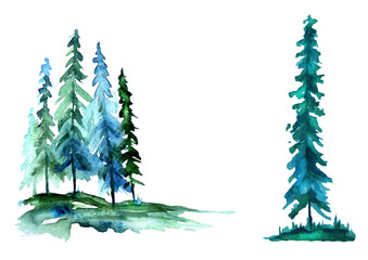 Watercolor trees, forest, pine, blue spruce,landscape. In different embodiments. Illustration made for a different design. Isolated on white background