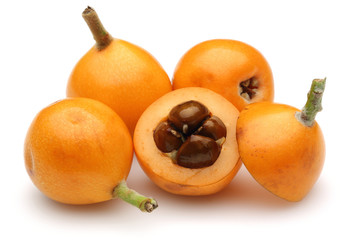 Wall Mural - Loquat