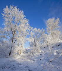 sunny winter day on the river Kama