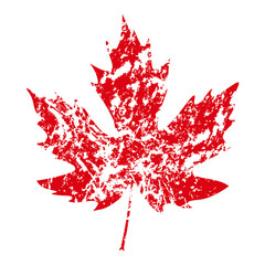 illustration of vector maple leaf in grunge style