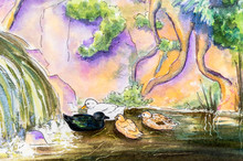Original Painting Of Ducks On Water.