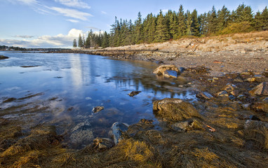 Maine shoreline